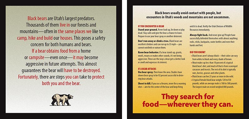 Bear brochure inside panels