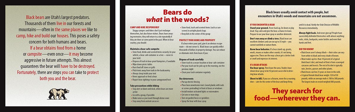 Bear brochure inside panels