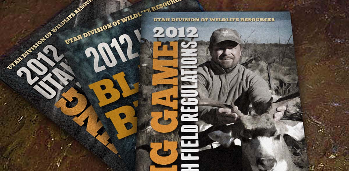 Guidebooks