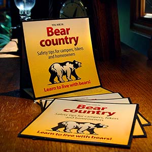 Bear Country