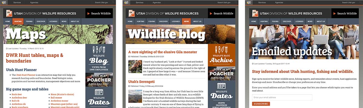 DWR website pages