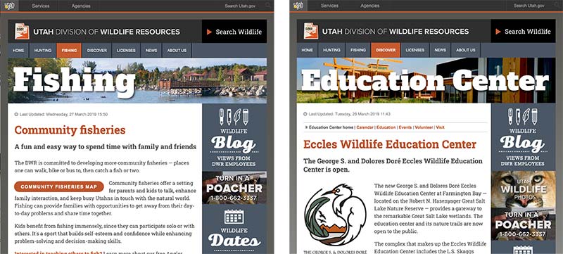 DWR website pages