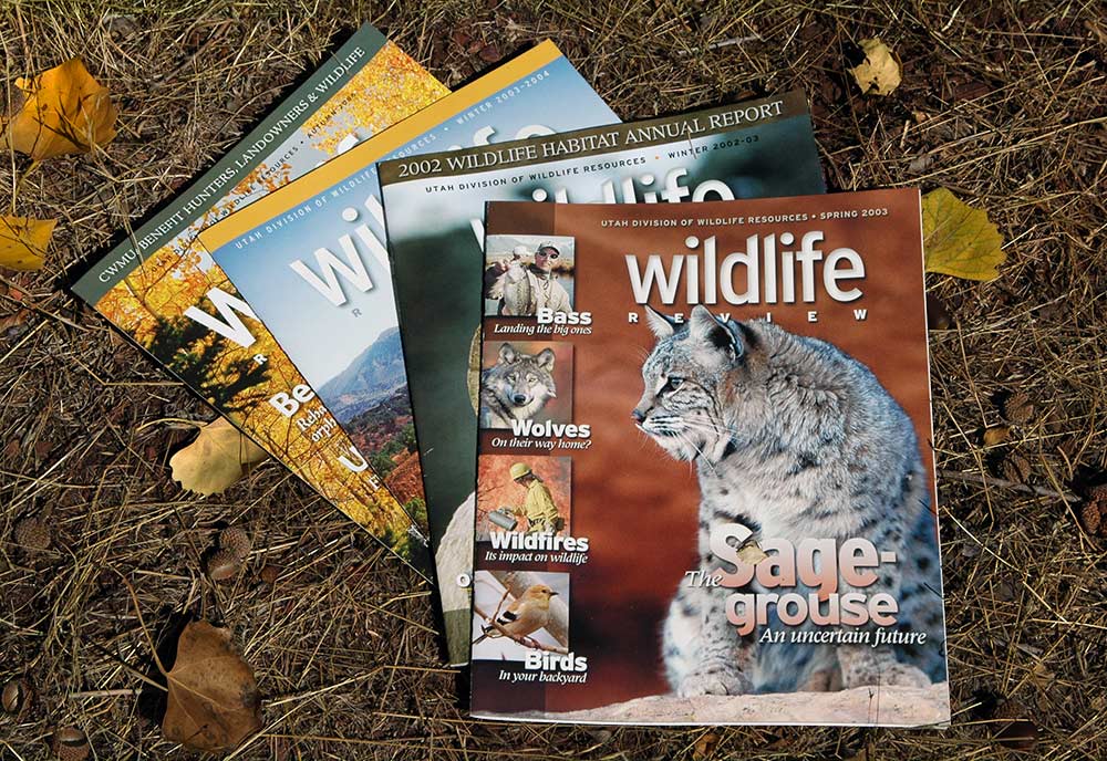 Wildlife Review covers